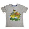 TMNT Short Sleeve Tee - Grey Mix - 4T