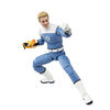 Marvel Legends Series Johnny Storm Action Figure