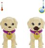 Barbie Doll and Accessories Pup Adoption Playset with Doll, 2 Puppies and Color-Change