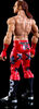 WWE Elite Action Figure Shawn Michaels