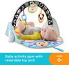 Fisher-Price 2-in-1 Flip & Fun Activity Gym