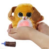 furReal Fuzzalots, chiot interactif changeant de couleur