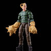 Marvel Legends Series 6-inch Scale Action Figure Toy Marvel's Sandman