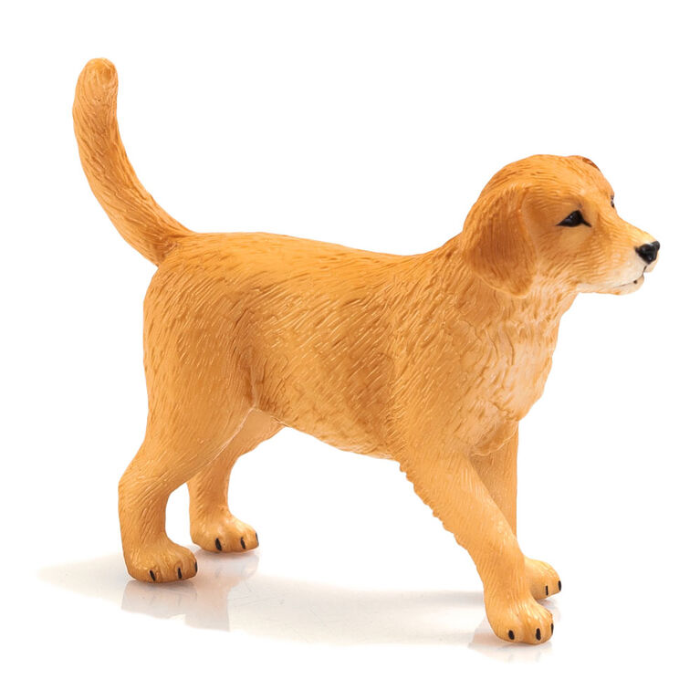 ALEX - Golden Retriever Puppy - Small