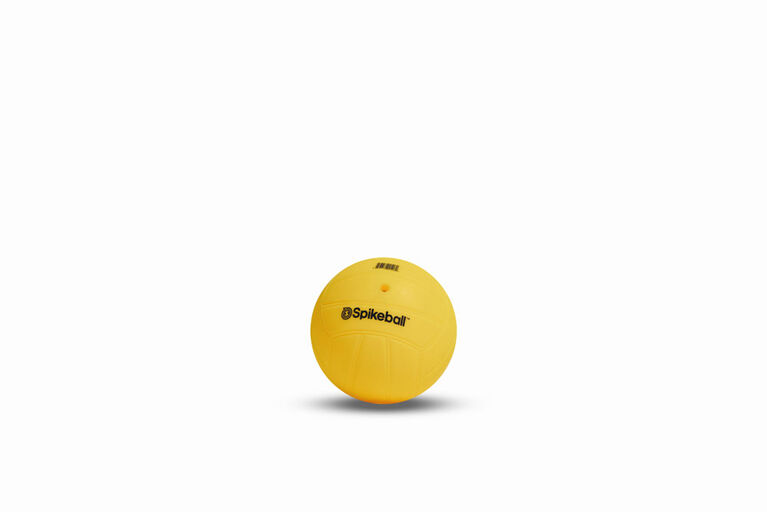 Ensemble Standard Spikeball
