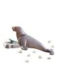 Playmobil - Wiltopia - Sea Lion