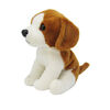 ALEX - Beagle 7"