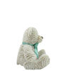 2020 Starlight Bear