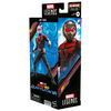 Hasbro Marvel Legends Series Ant-Man, Ant-Man and the Wasp: Quantumania Marvel Legends Action Figures, 6 Inch