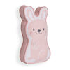 Bunny Plush Throw and Pillow Set
