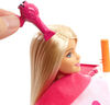 Barbie - Coffret de jeu Salon de coiffure et poupée Barbie - Cheveux blonds.