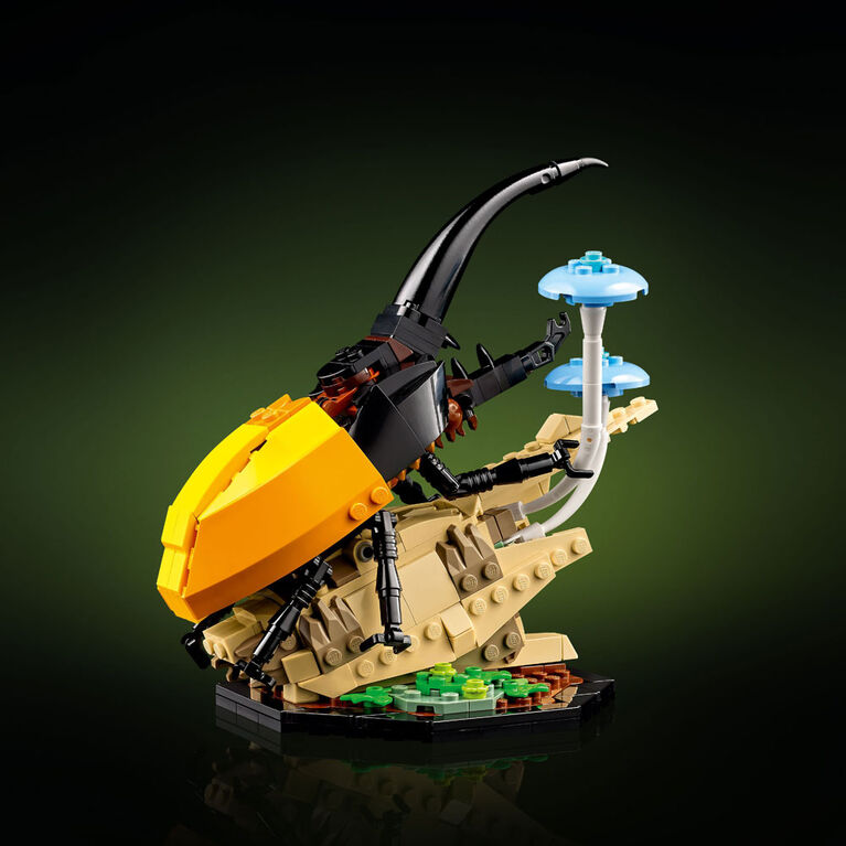 LEGO Ideas La collection d'insectes 21342 Ensemble de construction pour adultes (1 111 pièces)