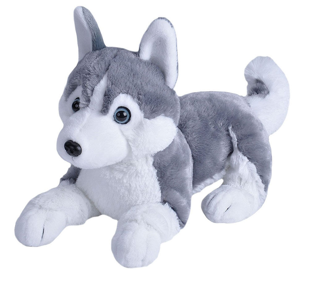 Peluche chien toys r us shop