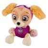 PAW Patrol - Plush Pup Pals- Skye