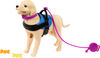 Coffret de poupée Barbie et chien d'assistance avec fauteuil roulant, rampe et accessoires, poupée