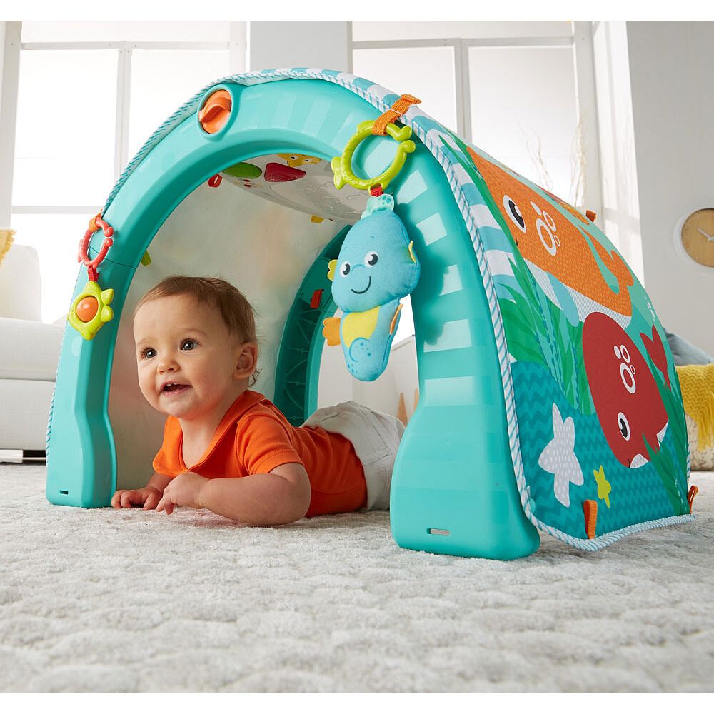 fisher price 4 in 1 activity center