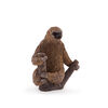 ALEX - Two Toed Sloth - Medium