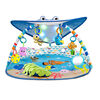 Disney Baby Mr Ray Ocean Lights Activity Gym