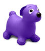 Purple Dog Bouncer