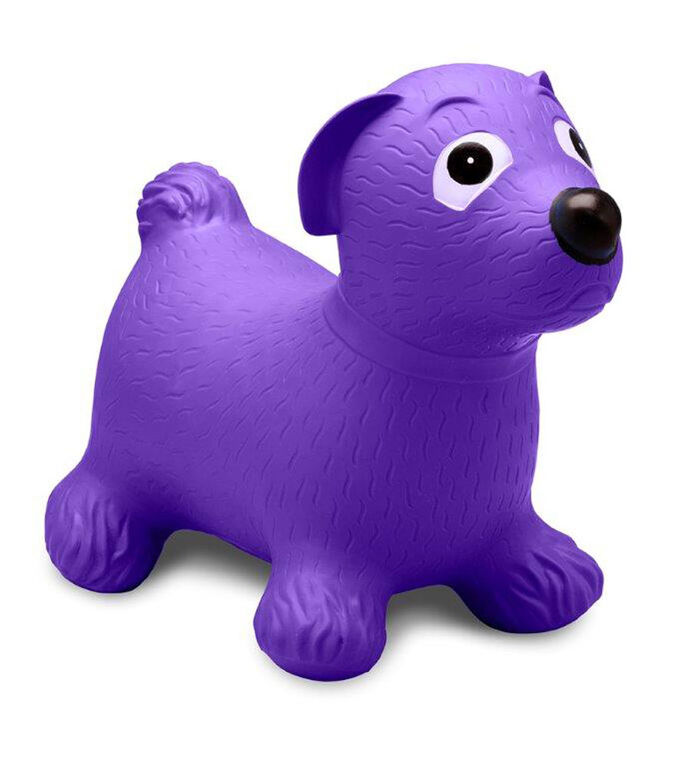 Purple Dog Bouncer
