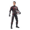 Hasbro Marvel Legends Series Ant-Man, Ant-Man and the Wasp: Quantumania Marvel Legends Action Figures, 6 Inch