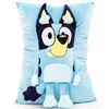 Bluey 3D Plush Snuggle Pillow, 11" x 15"