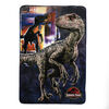 Couverture Surdimensionnée Polaire Jurassic Park pour Enfants (60 "x90")