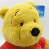 Disney Soft Plush - Winnie The Pooh