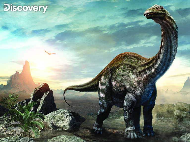 Discovery Dinosaur 100Pc Casse-Tête