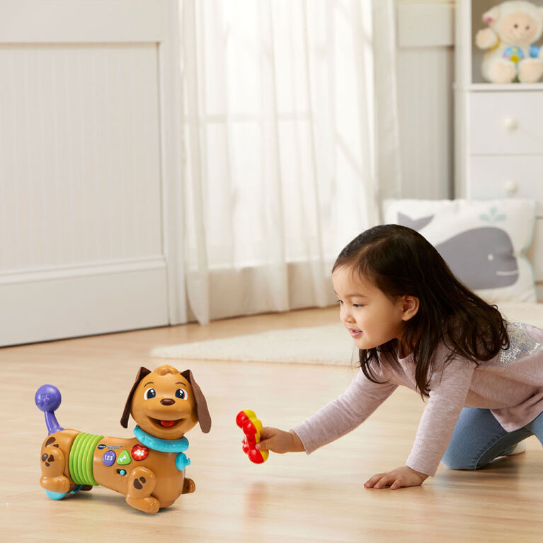 VTech Rattle & Waggle Learning Pup - English Edition