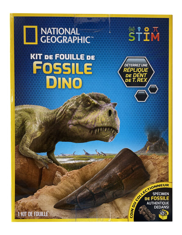 Kit de creusement de fossiles de dinosaures pour les enfants, Dig