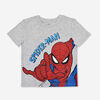 Marvel Spiderman Short Sleeve Top Grey 3/4