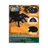 ALEX - RC Tarantula - R Exclusive