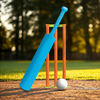 Ensemble De Jeu De Cricket O2P