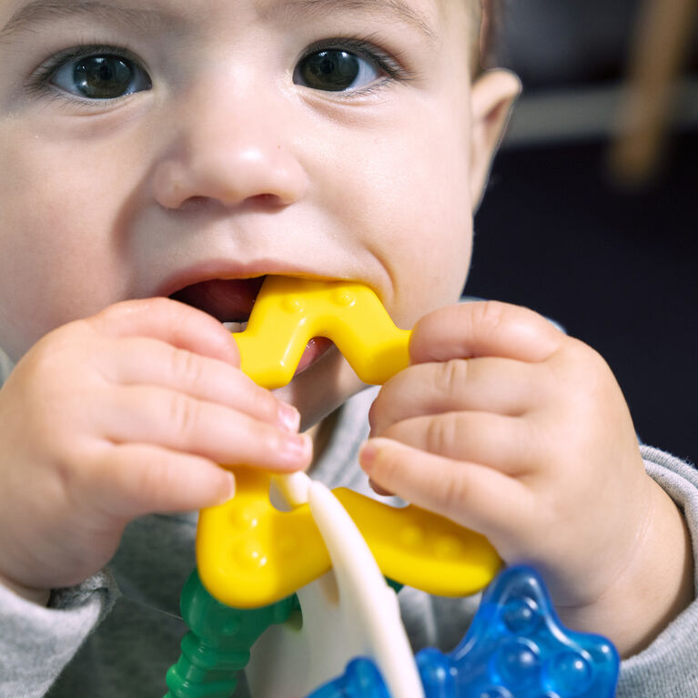 Baby Einstein Ocean Explorer - Sea of Sensory Teether Toy