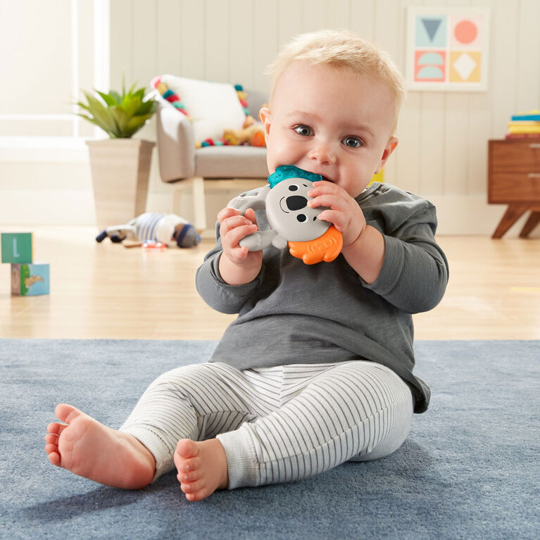 FisherPrice Teether Tunes Koala Toys R Us Canada