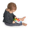 Shake, Rattle & Soothe Take-Along Textured Teether Link Toy - BPA Free