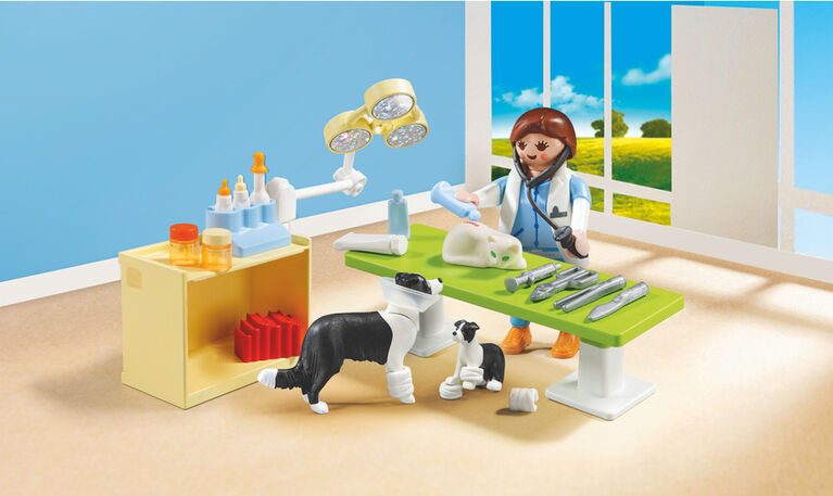 Playmobil - Vet Visit Carry Case