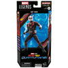 Hasbro Marvel Legends Series Ant-Man, Ant-Man and the Wasp: Quantumania Marvel Legends Action Figures, 6 Inch