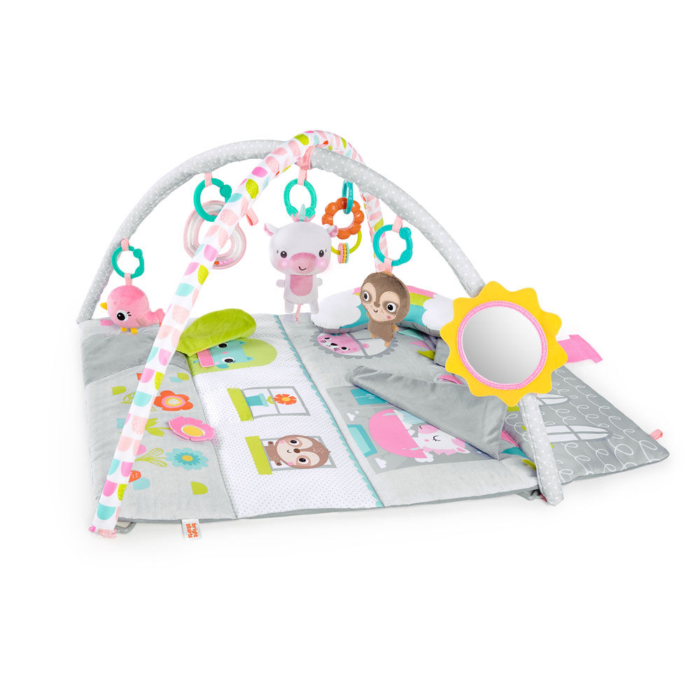Activity gym toys r us shop