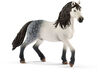 Horse Club - Andalusian Stallion