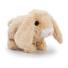 Pitter Patter Pets Teeny Weeny Bunny - R Exclusive (Assortment May Vary)