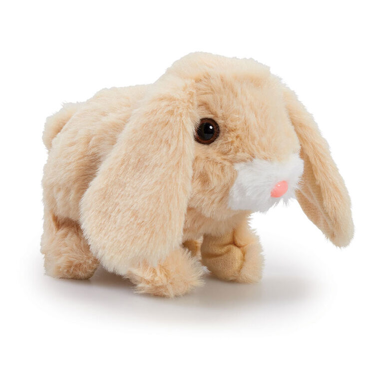 Pitter Patter Pets Teeny Weeny Bunny - R Exclusive (Assortment May Vary)