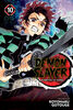 Demon Slayer: Kimetsu No Yaiba, Vol. 1 - English Edition