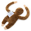 The Sloth Game, Jeu de charades et actions en équipe avec paresseux en peluche électronique, à partir de 8 ans