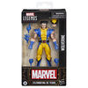 Marvel Legends Series Wolverine Comics Action Figure