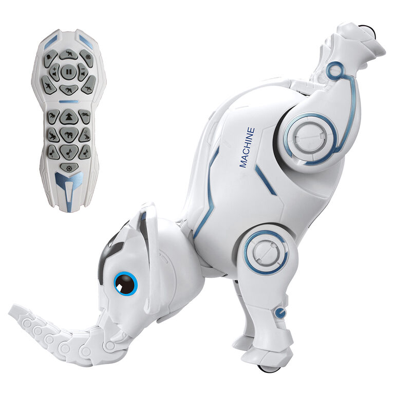 Codo Programming Elephant