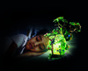 Playmobil - Wiltopia - Rainforest Night Light