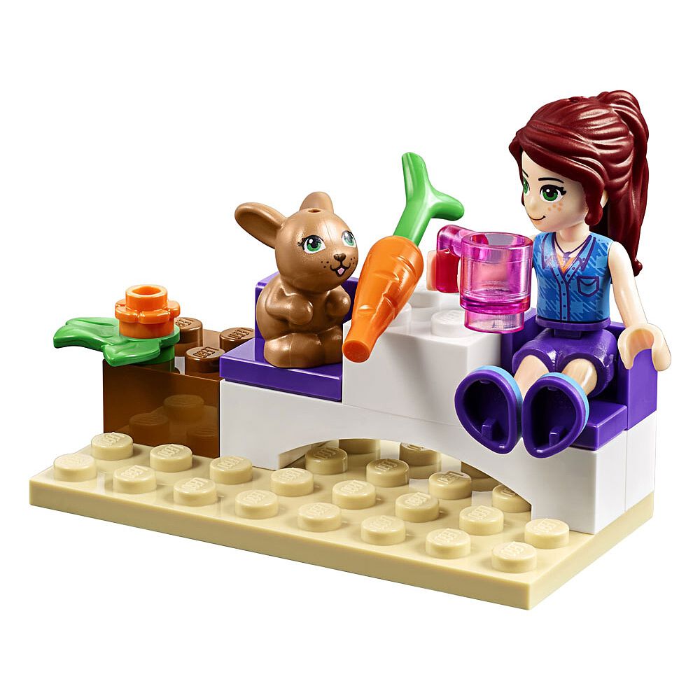 lego organic food market