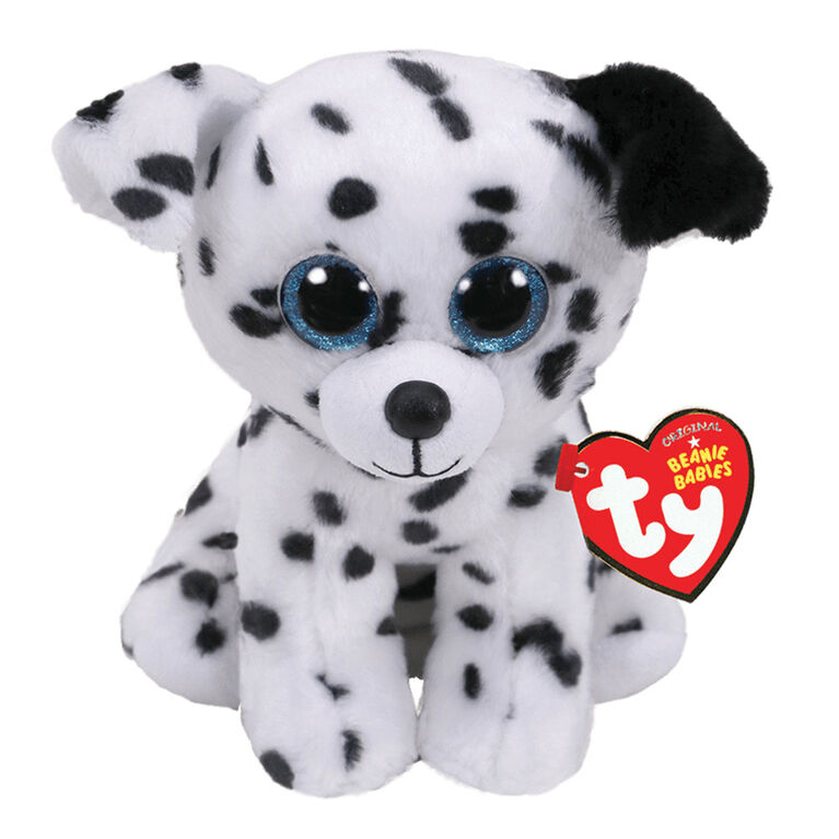 Ty - Catcher- Dalmatian Reg